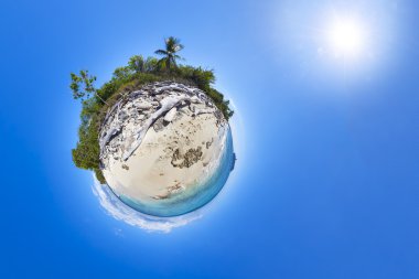 Palmiyeli tropik plaj