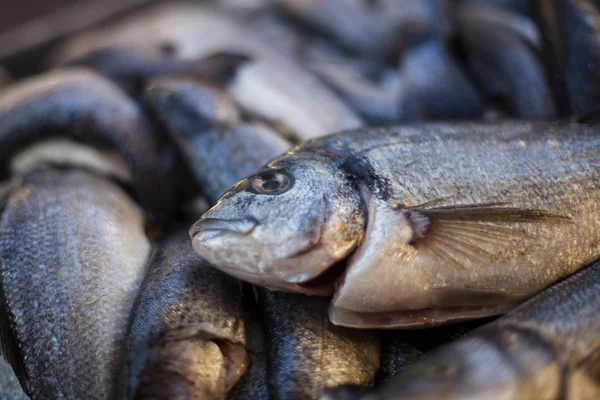 Peixe frito fresco na grelha — Fotografia de Stock