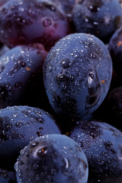 Niebieski winogron z kropli wody Zdjęcia Stockowe bez tantiem