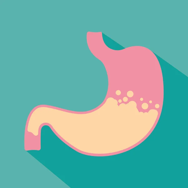 Stomach flat icon — Stock Vector