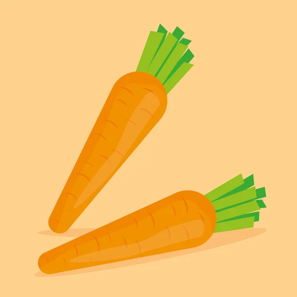 Двухвекторная морковь — стоковый вектор