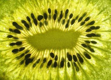 Kivi dilimini kapat. Kivi makrosu dokusu. Bir dilim kivi makrosu..