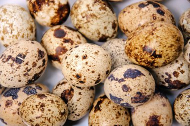 Bir grup bıldırcın yumurtası. Üst Manzara. Kapat..