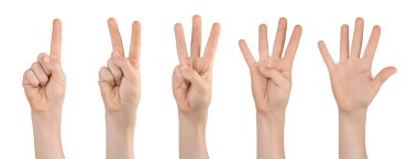 Bir, iki, üç, dört, beş numaralı parmaklarıyla kaldırılmış çocuk elleri. Beyaz arkaplanda izole.
