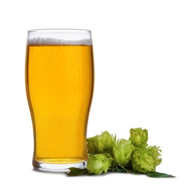 Beyaz arka planda izole edilmiş yeşil kozalaklı bir bardak taze bira..