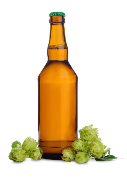 Botella Vidrio Cerveza Fresca Con Conos Lúpulo Verde Aislados Sobre — Foto de Stock