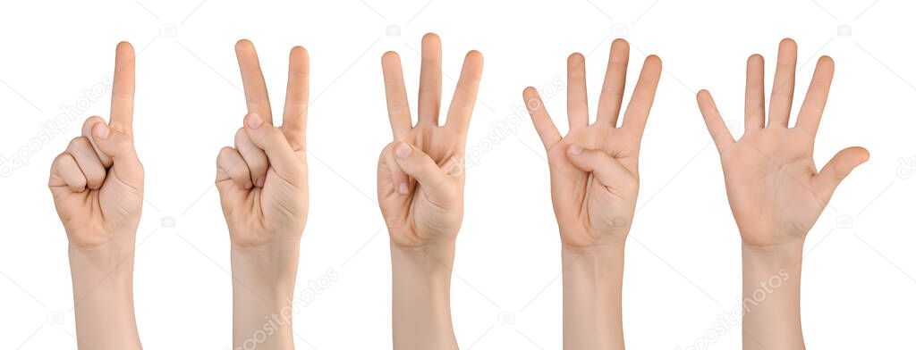 Set of raised up childs hands showing with fingers number one, two, three, four, five. Isolated on white background.