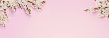 Pembe arka planda bir sürü kayısı çiçeği ve ilham kaynağı olan bahar çiçekleri. Pastel arka planda meyve ağacı çiçekleri olan kompozisyon. Üst görünüm.