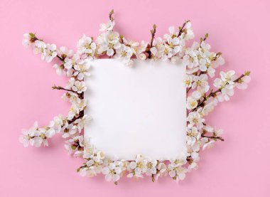Kayısı çiçekleriyle dolu bahar çiçekleri ve pembe arka planda boş kağıtlar. Pastel arka planda meyve ağacı çiçekleri olan kompozisyon. Üst görünüm.