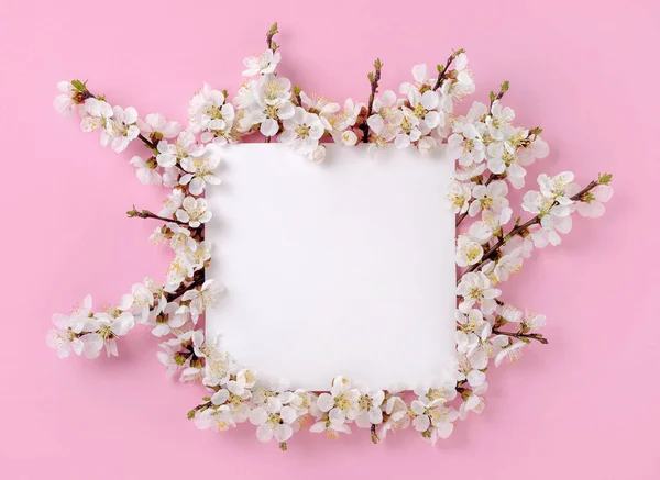 Kayısı çiçekleriyle dolu bahar çiçekleri ve pembe arka planda boş kağıtlar. Pastel arka planda meyve ağacı çiçekleri olan kompozisyon. Üst görünüm.