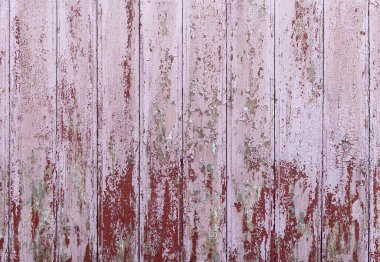 Arka plan olarak eski boyanmış ahşap tahtalar. Kırık pembe boyalı eskimiş tahta tahtalar..