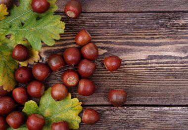 Kahverengi desenli ahşap üzerinde meşe palamutları ve sarı meşe yapraklarıyla sonbahar kompozisyonu..