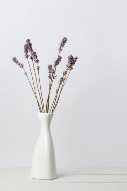 Ahşap zemin üzerinde beyaz vazoda kurumuş lavanta çiçekleri. İç çiçek kompozisyonu.