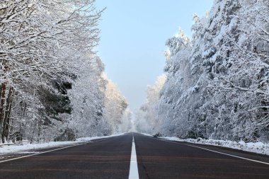 Temiz asfalt yolu boyunca karla kaplı, güzel bir kış ormanı manzarası..