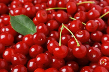 Olgun kiraz yığınını, saplı ve yeşil yapraklı, küçük bir odak derinliği ile kapat.