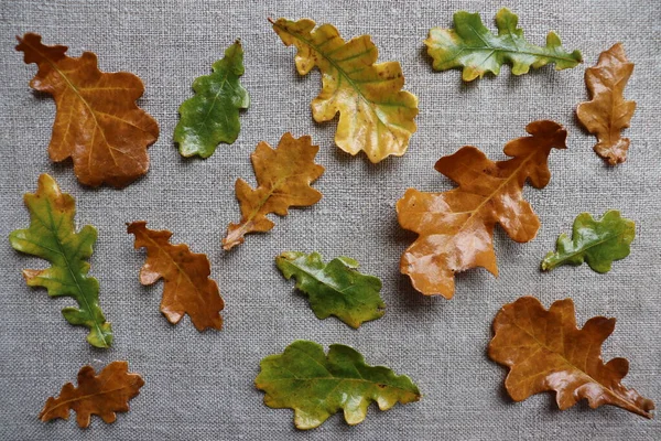 Folhas Outono Tecido Linho — Fotografia de Stock