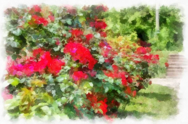 Flowers close-up, photo converted into drawing by the program.