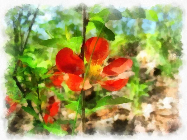 Flowers close-up, photo converted into drawing by the program.