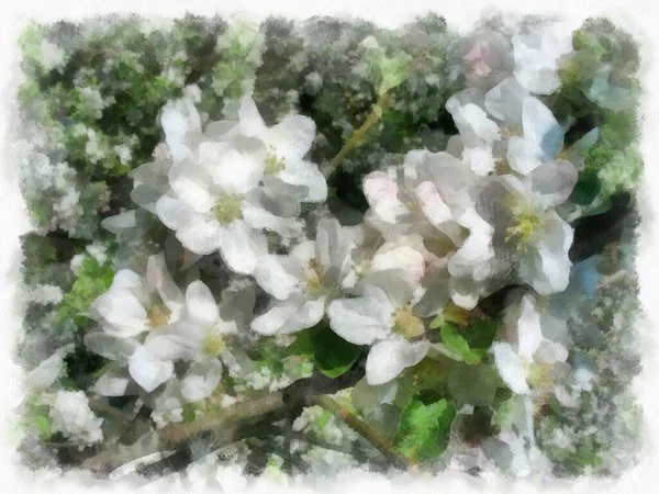 花のクローズアップ プログラムによるドローイングに変換された写真 — ストック写真