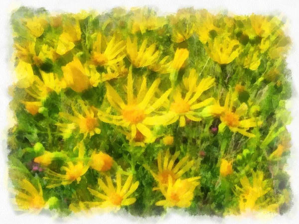 Flowers Close Photo Converted Drawing Program — Stock Photo, Image