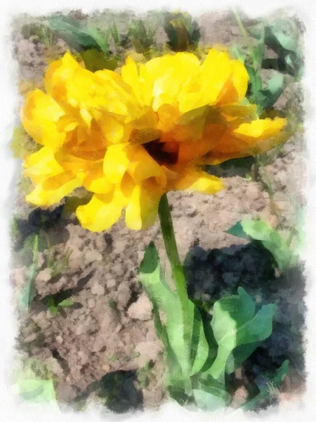 花のクローズアップ プログラムによるドローイングに変換された写真 — ストック写真
