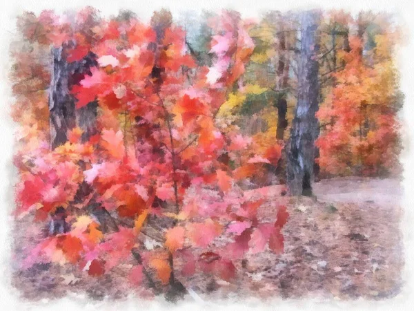 Autumn forest landscape, photo converted into drawing.