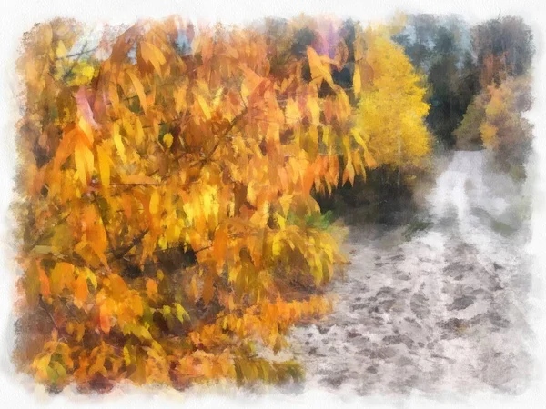 Autumn forest landscape, photo converted into drawing.