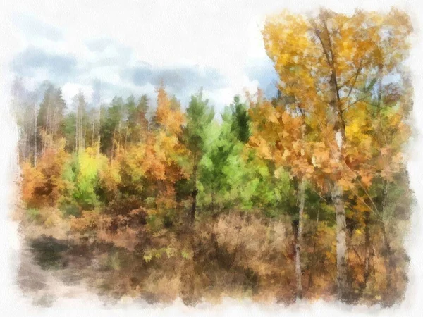 Autumn forest landscape, photo converted into drawing.