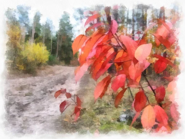 Autumn forest landscape, photo converted into drawing.