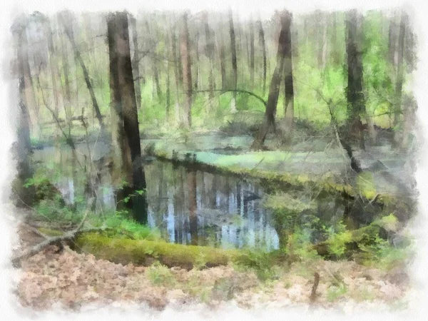 Pantano Bosque Agua Está Cubierta Hierba Verde Hojas Foto Convertida — Foto de Stock