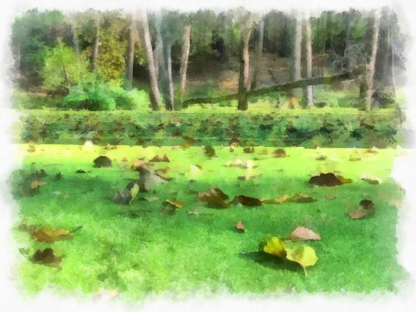 Pântano Floresta Água Coberta Com Ervas Daninhas Verdes Folhas Foto — Fotografia de Stock