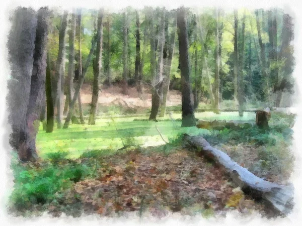 Träsk Skogen Vattnet Täckt Med Grönt Anka Löv Foto Omvandlas — Stockfoto