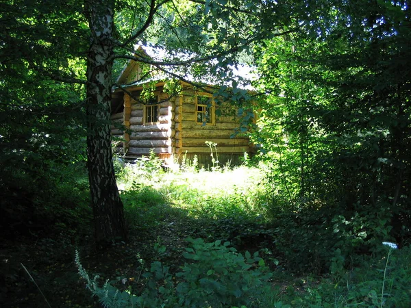 Museo Arquitectura Histórica Aire Libre Pirogovo Ucrania — Foto de Stock