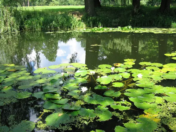 Paisagens Alexandria Park Belaya Tserkov Ucrânia — Fotografia de Stock