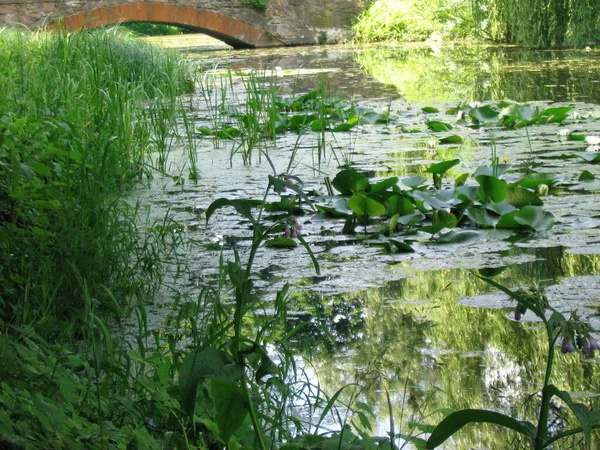 Paisagens Alexandria Park Belaya Tserkov Ucrânia — Fotografia de Stock