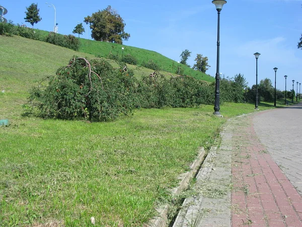 Landscapes City Kiev — Φωτογραφία Αρχείου