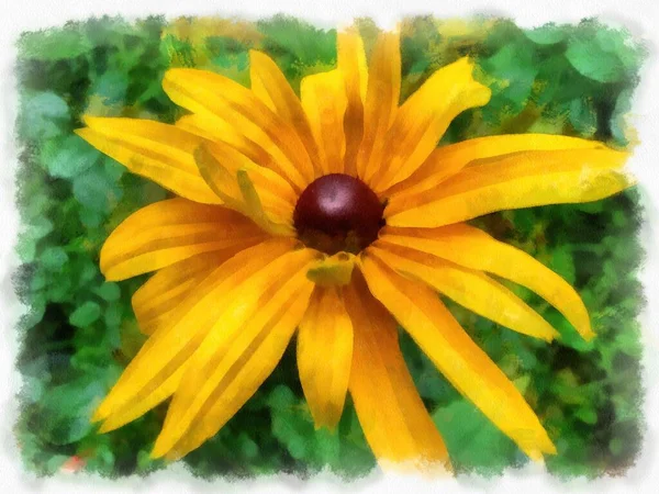Blumen Aus Nächster Nähe Vom Programm Zeichnung Umgewandeltes Foto — Stockfoto