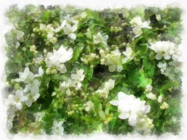 Flowers close-up, photo converted into drawing by the program.