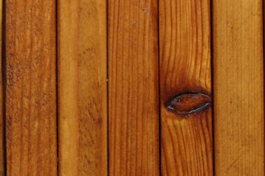 Kahverengi çam ağaçlarının dokusu..