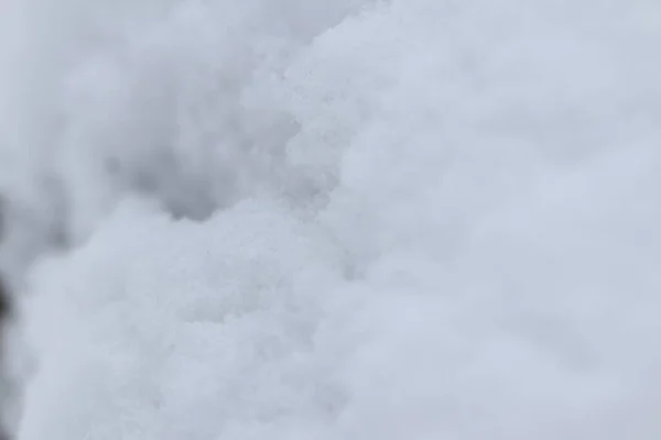 Снег Крупным Планом Зимнем Лесу — стоковое фото