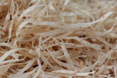 Ormanda bir ağaç kestikten sonra bir parça odun kaldı..