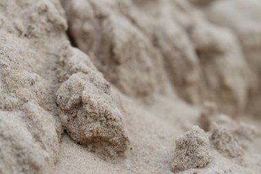 Ormanda kumlar kapanıyor..