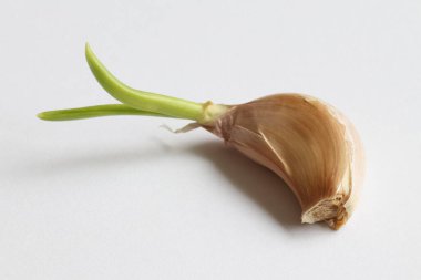 Sarımsaklı karanfil filizleri yakın plan. Yeşil lahanalı sarımsak.. 