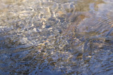 Su yüzeyi dokusu. Güneş tavşanları derenin akan sularında oynarlar. Derenin akan suyu..