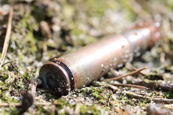 Old rusty gun casings lie near a tree in the forest. 
