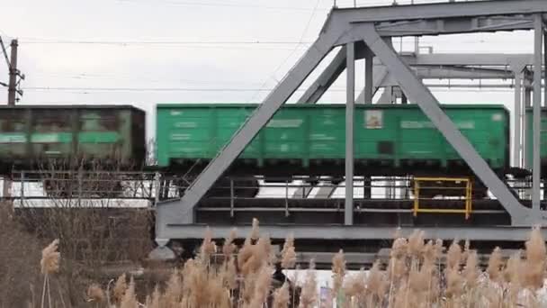 Trein Steekt Rivier Spoorbrug — Stockvideo