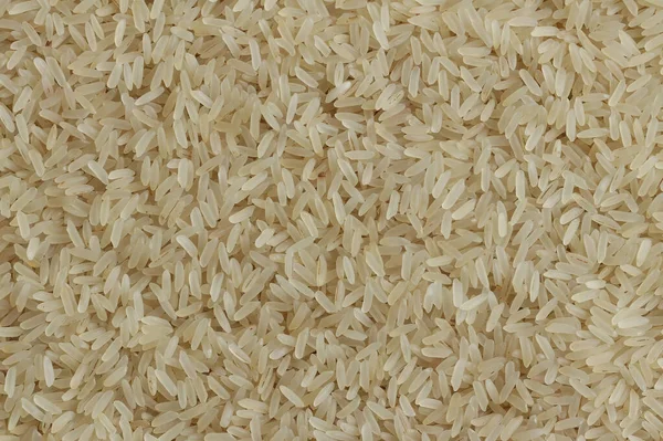 Healthy Tasty Polished Oblong Rice First Grade — Stock Photo, Image