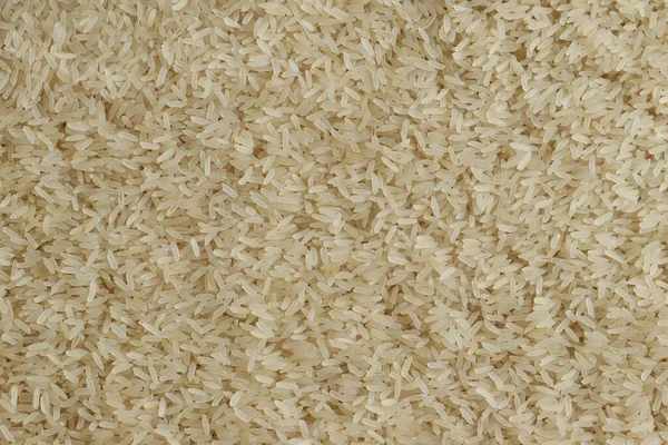 Arroz Oblongo Sano Sabroso Pulido Primer Grado — Foto de Stock