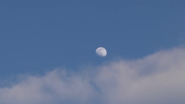 Luna Apparsa Nel Cielo Tra Nuvole Alla Luce Del Giorno — Video Stock