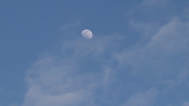 Lua Apareceu Céu Entre Nuvens Luz Dia Sol Ainda Não — Vídeo de Stock